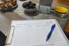 Anwesenheitsliste